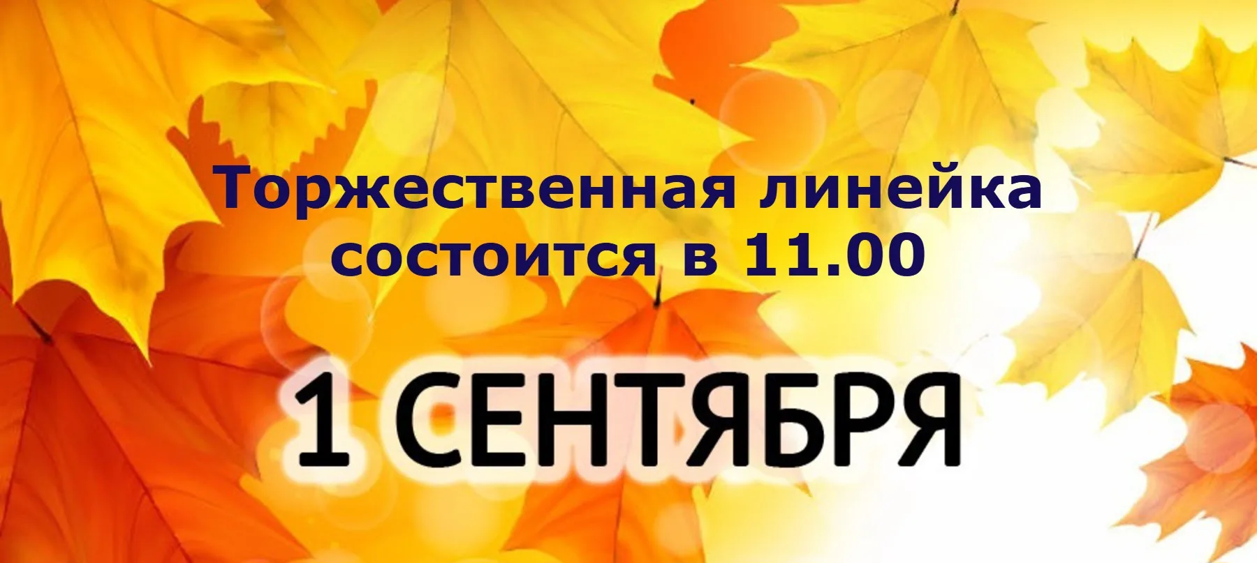 🍂 1 сентября — День знаний! 🍁Дорогие друзья, учащиеся и родители! Поздравляем вас с н...