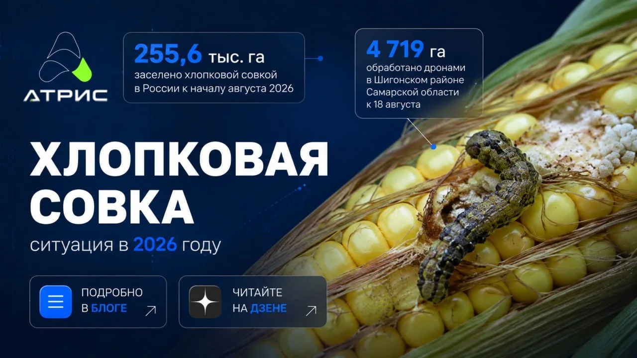 Для тех, кто помимо часовых роликов ещё любит почитать, у нас есть блог и Дзен.