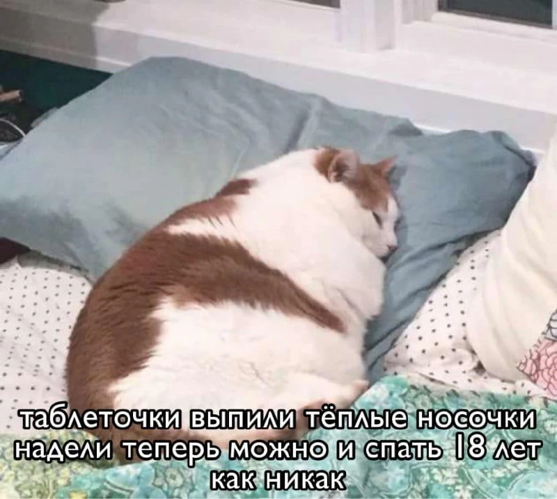 Мемы каждый день • Подписаться