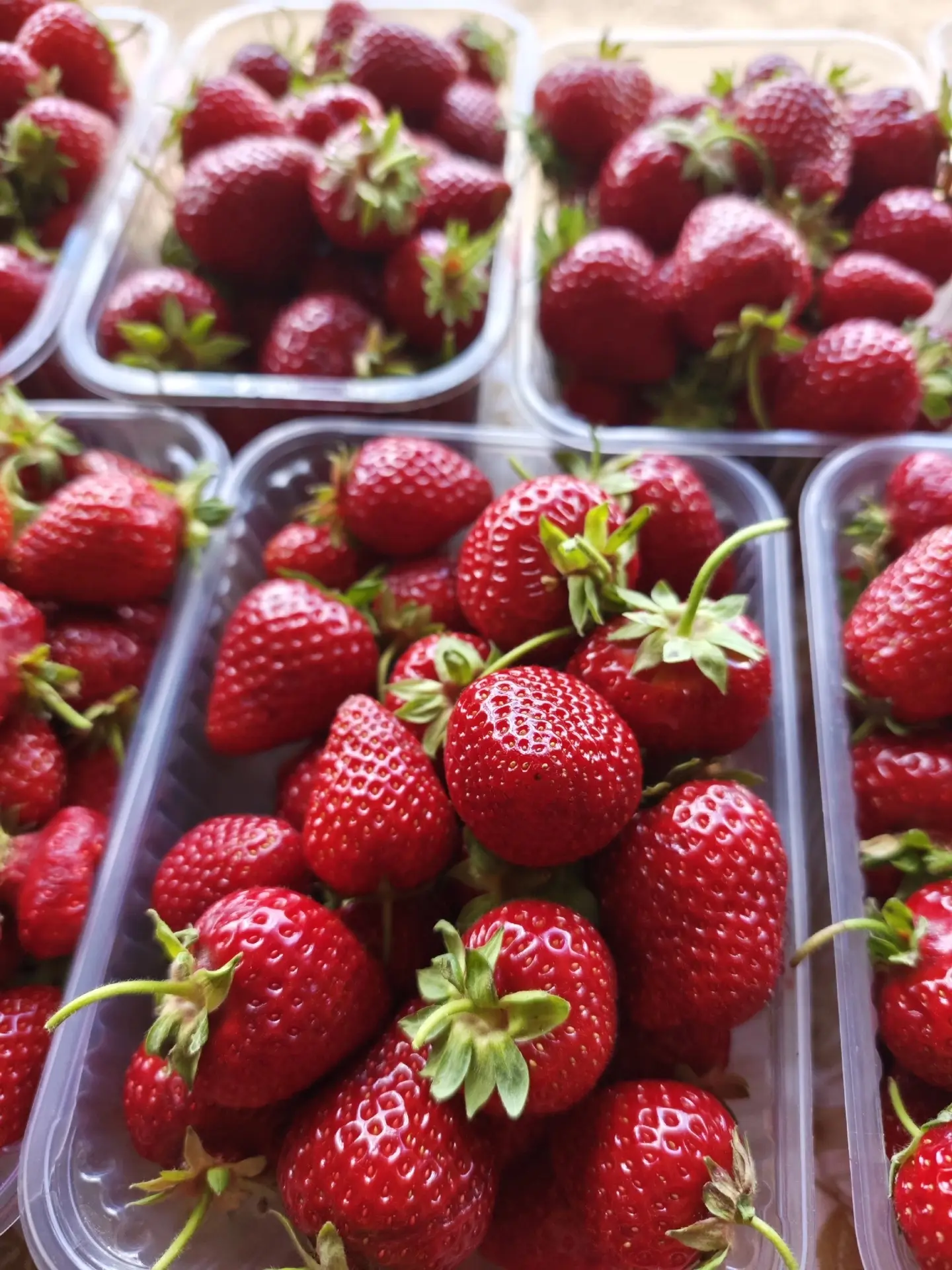 🍓 Большой сбор клубники на «Сонькином хуторе» — уже завтра! 🍓