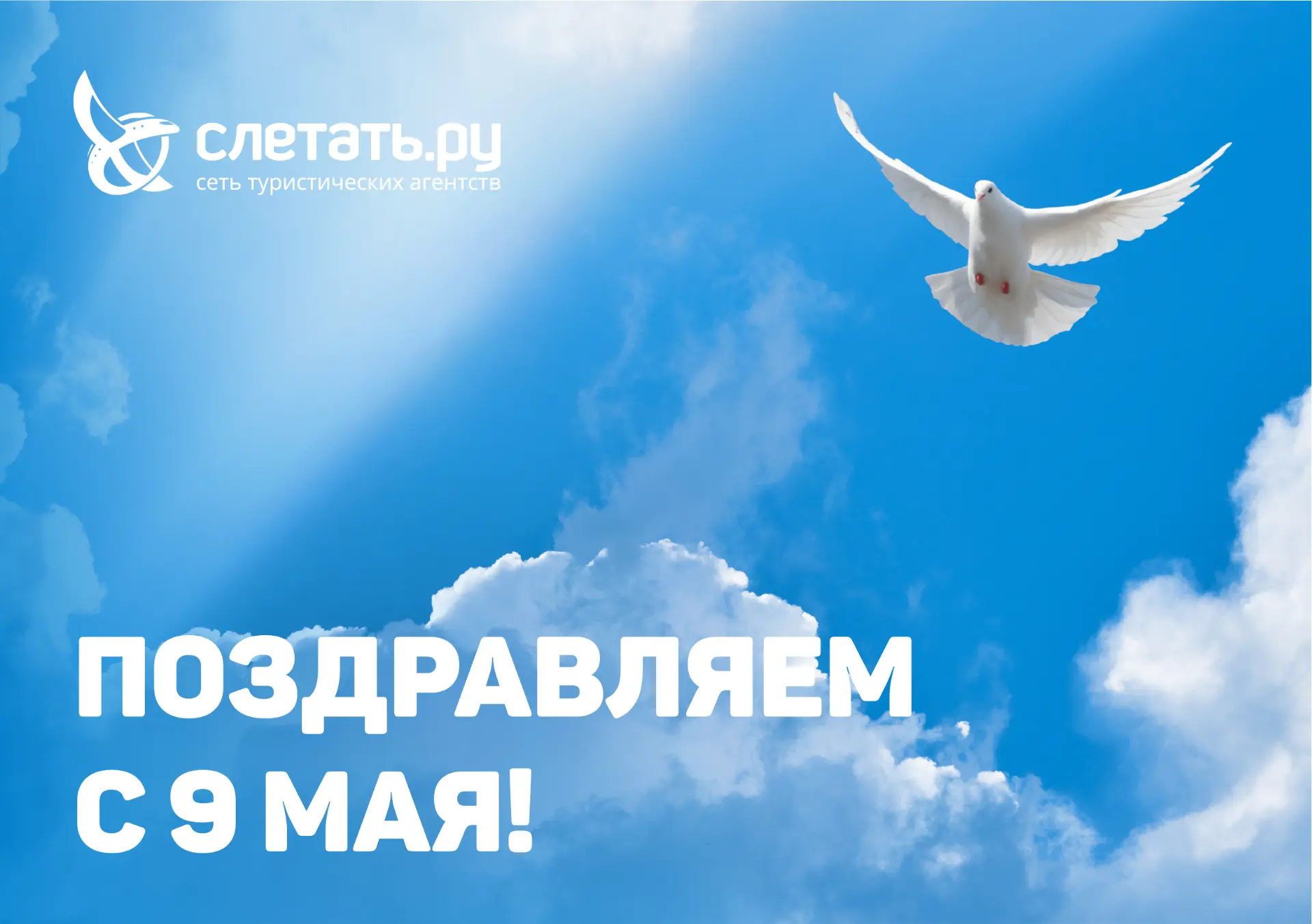 Дорогие друзья!