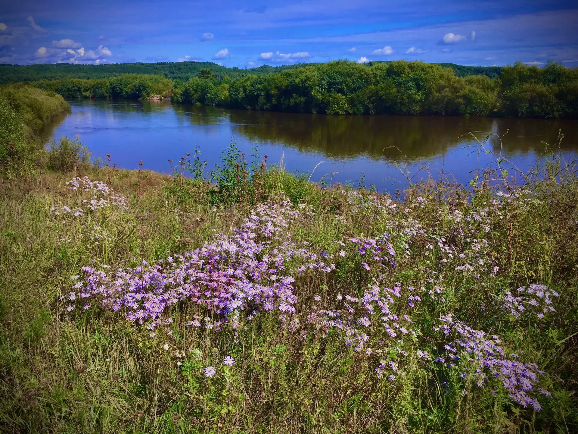 🥶🌞По северу Приамурья обещают заморозки, в Свободном ночью тоже прохладно