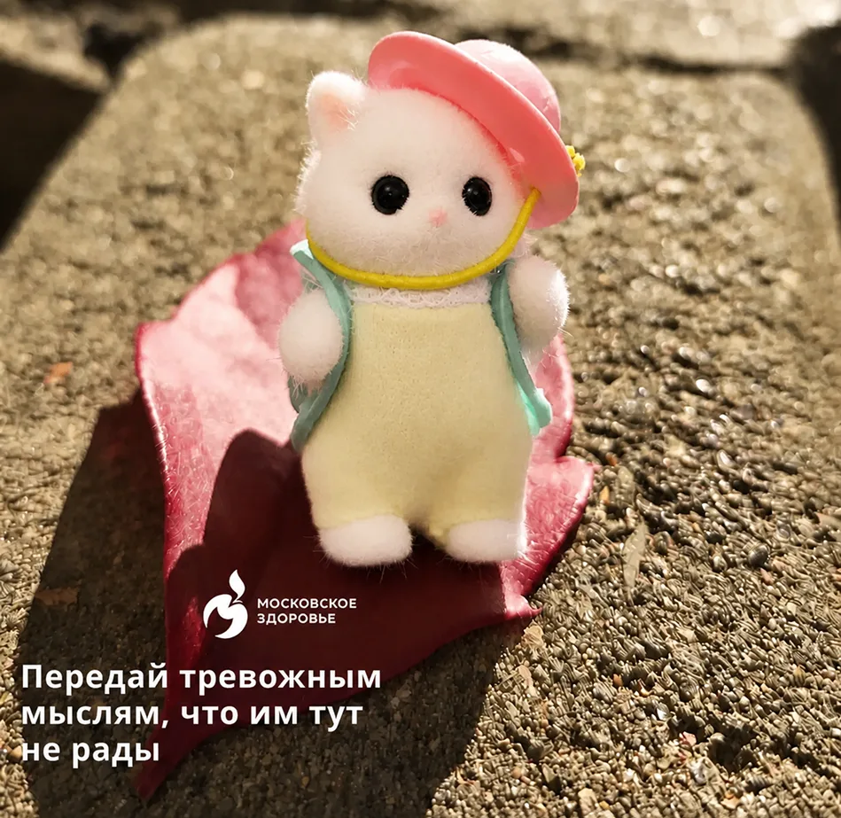 🙌 Немного мотивации вам на ночь.