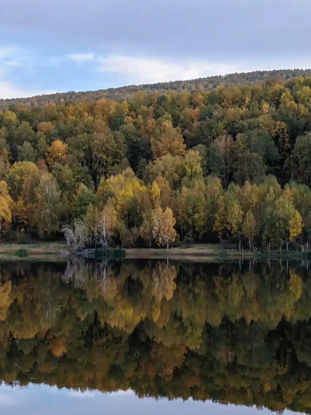 Осеннего вайба вам в ленту 🍂