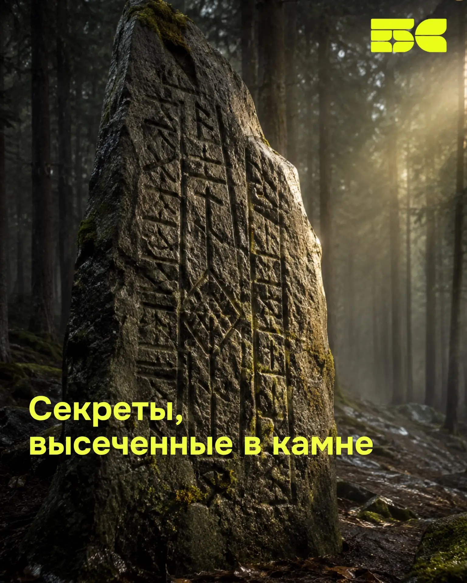 Руны: знаки, которые пережили века 🪶