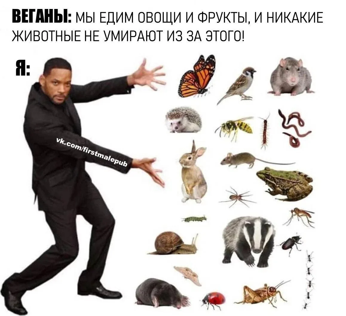 Веганы не едят мясо, потому что уважают животных? ЧУШЬ!