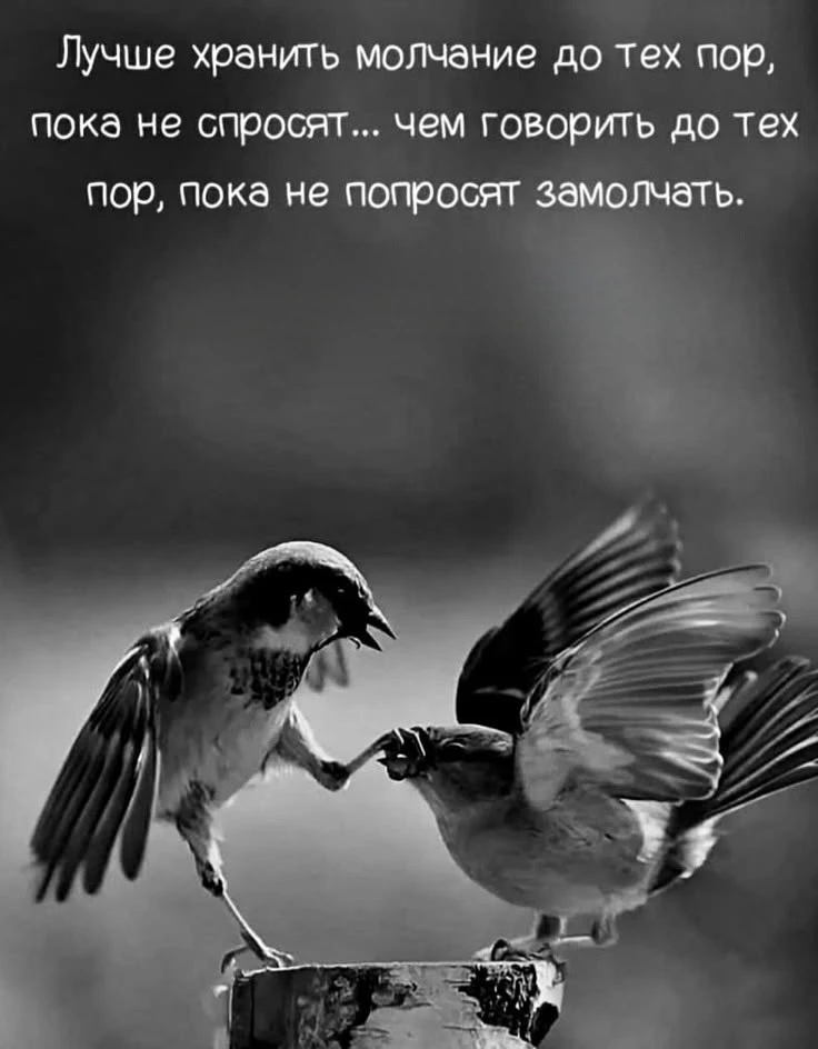 Цитаты жизни
