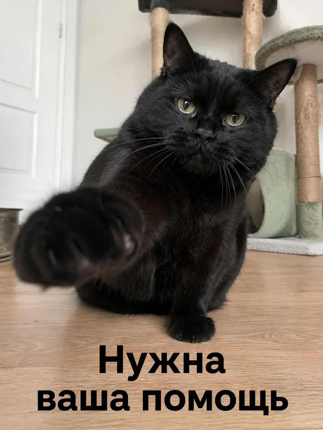 SOS! Хелп!! 10 минут времени каждого очень поможет!