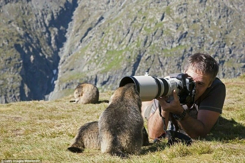 Всемирный день фотографии