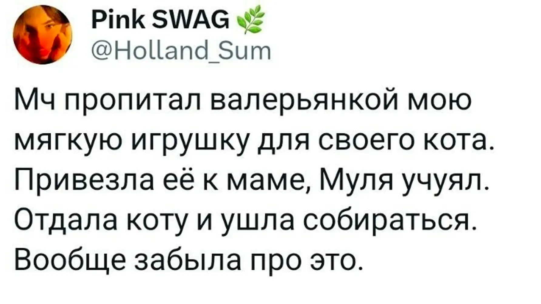 Иcтopия одного котa, котоpому пpивeзли «оcобeнный» подapок — мягкую игpушку, пpопитaнную вaлepьянкой