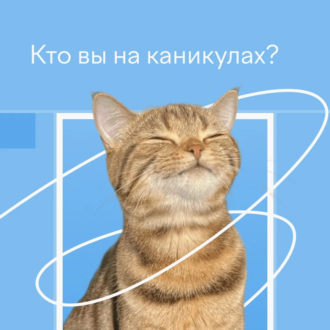 ☀️ Во время учебного года все учителя похожи: объясняют новые темы, проверяют тетради, ...