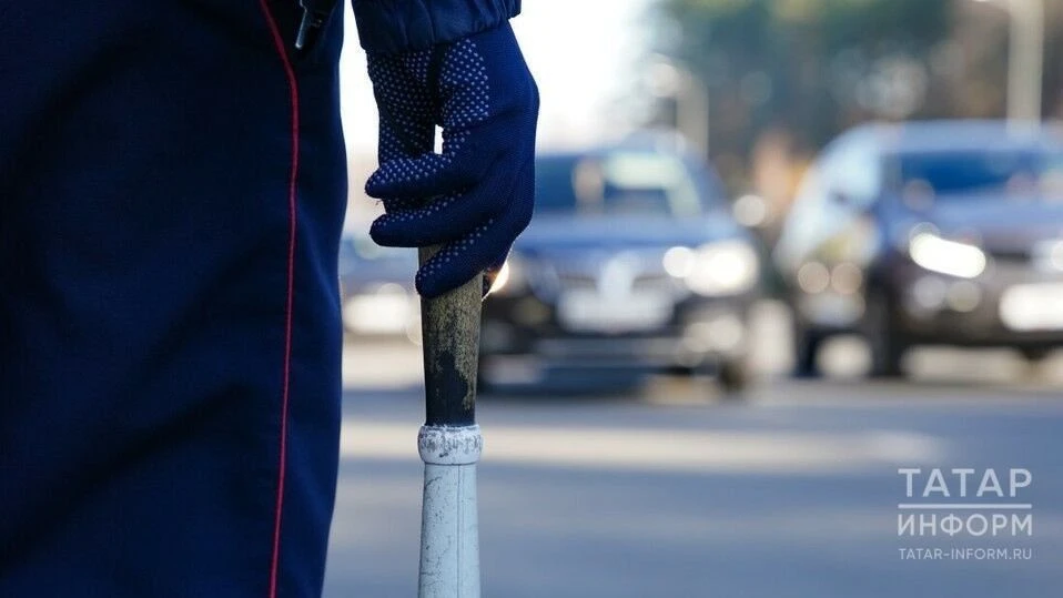 Пьяный водитель в Рыбной Слободе привлечен к ответственности