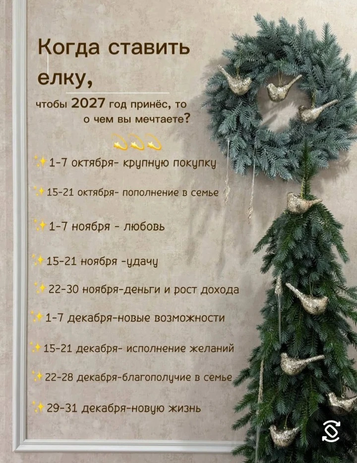 Нумерологи составили даты для установки ёлки 🤣👌