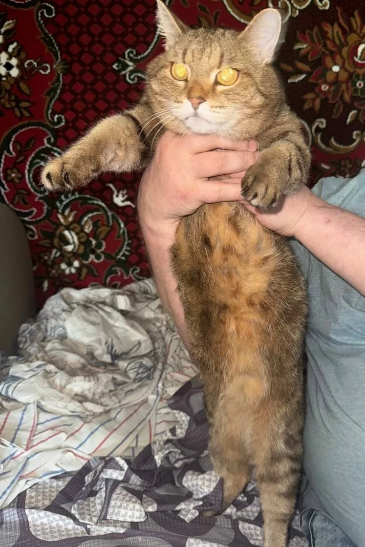 Друзья,снова ищем дом Марусе.