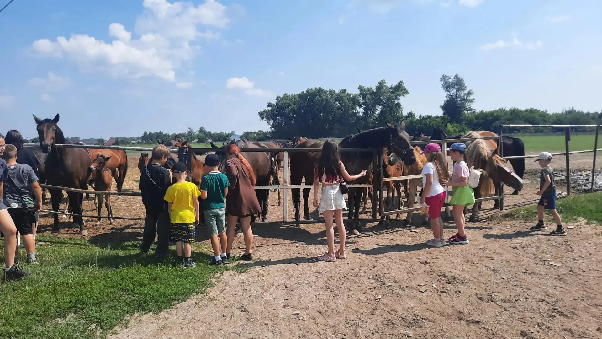 Увлекательная экскурсия на конный завод 🐎 

Сегодня, 2 июля, второму отряду «Созвездие» и четвёртом