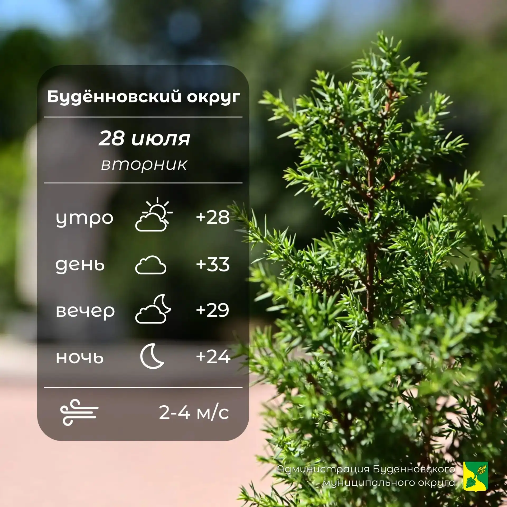 ⛅Сегодня в Буденновском округе облачно с прояснениями, утром возможен дождь. Температур...