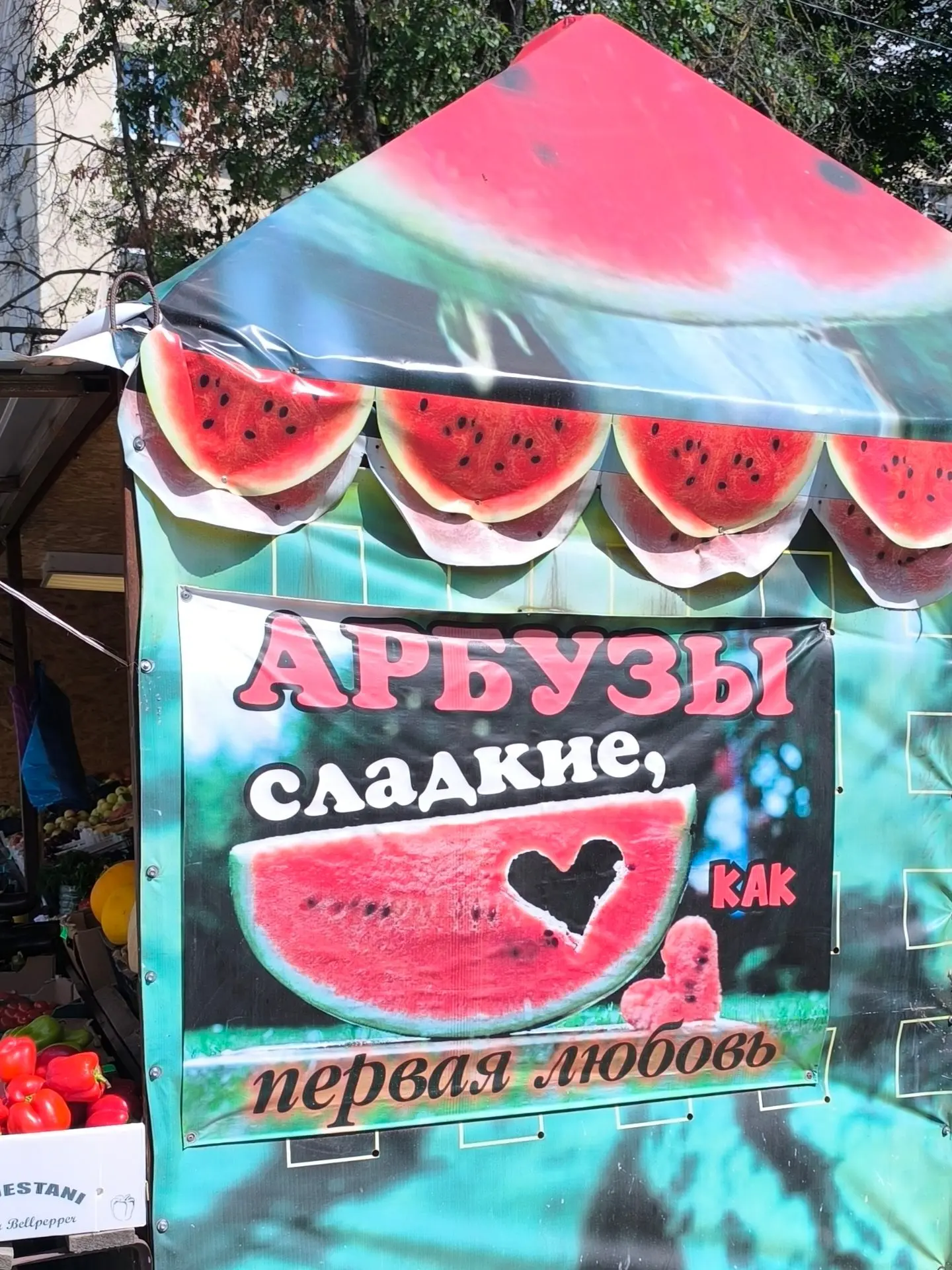 А все ли креативы одинаково полезны? 🤪 Ну вот смотрите... 👇🏻👇🏻👇🏻