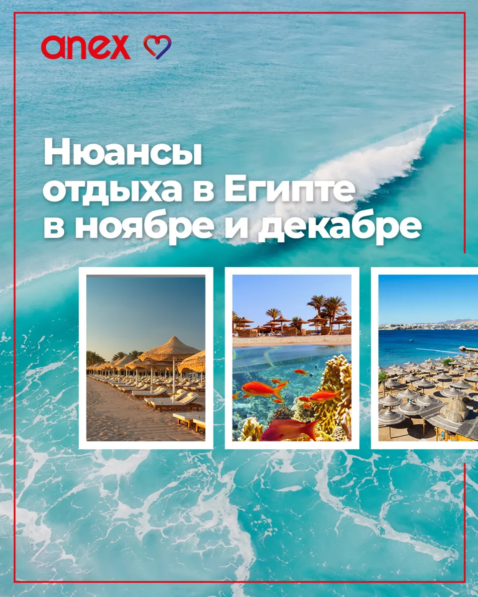 Стоит ли ехать в Египет в конце осени? Да, но...