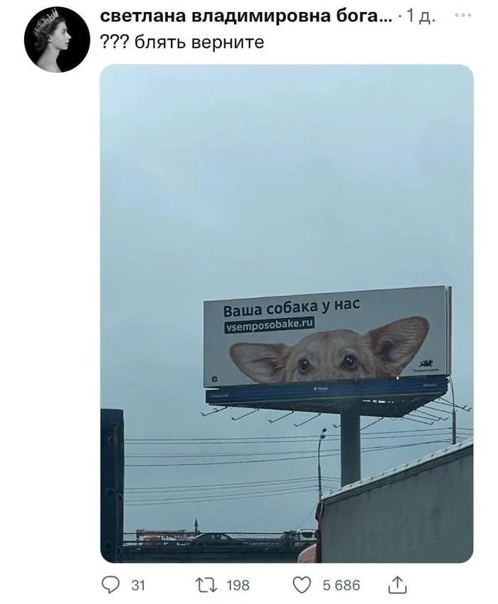 Маркетинг на грани сердечного приступа🤯

Подпишись на DogMarketing