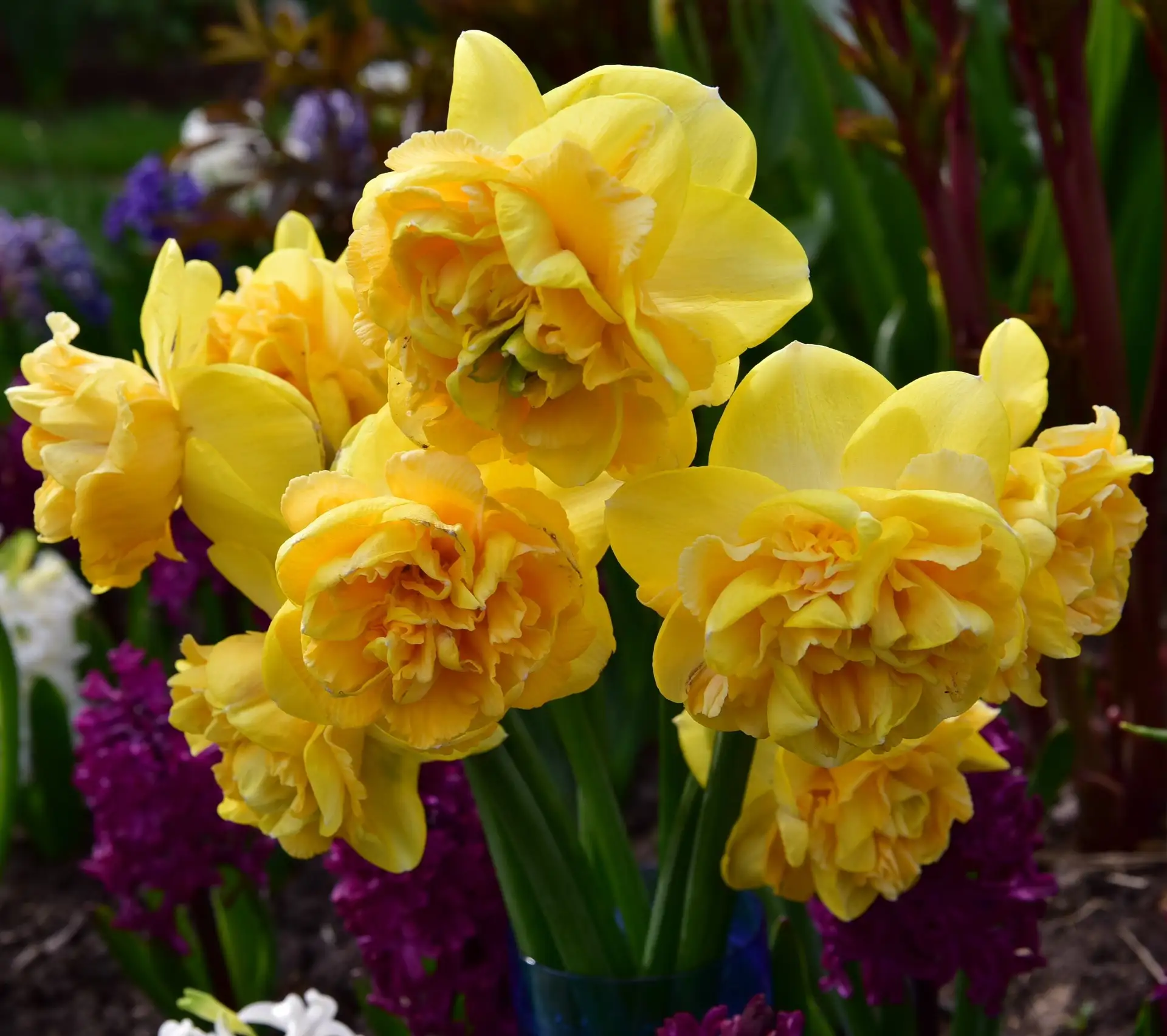 «Термит»: Нарцисс «Арт Парфюм» — ароматный шедевр коллекции! 🌼💛