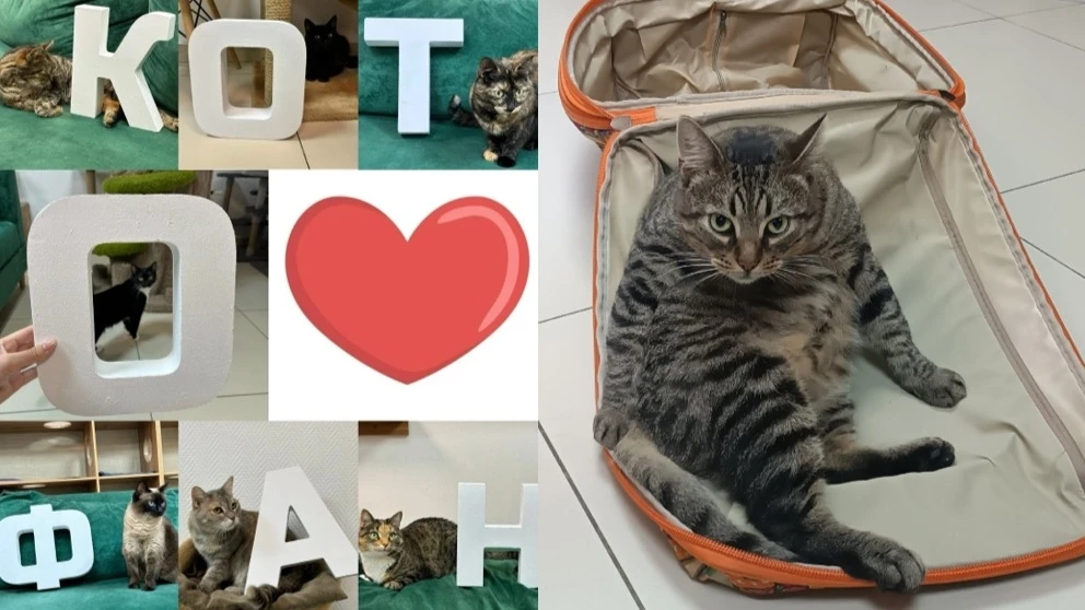 ❗️4 октября- Международный день защиты животных.