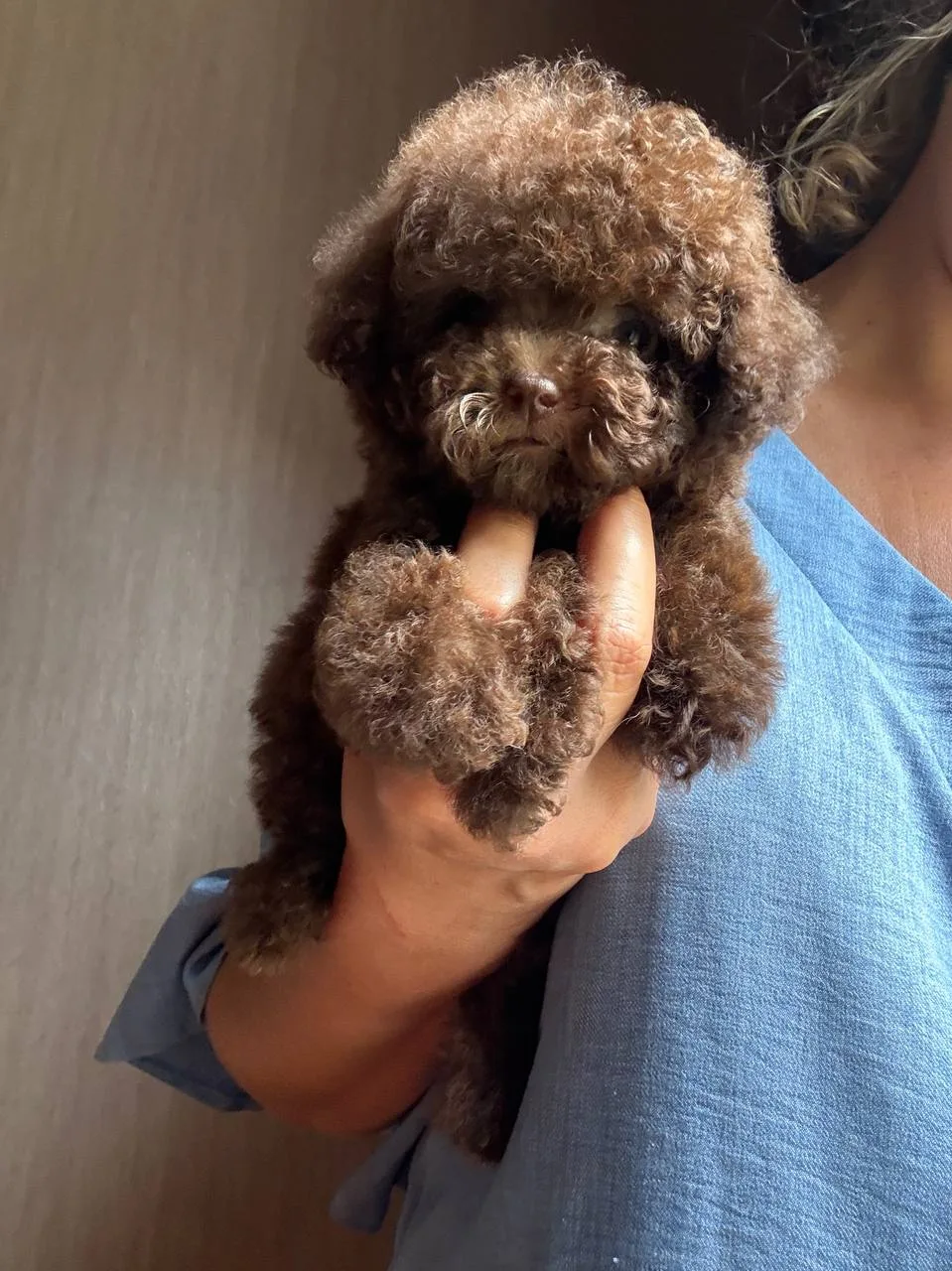 🐶✨