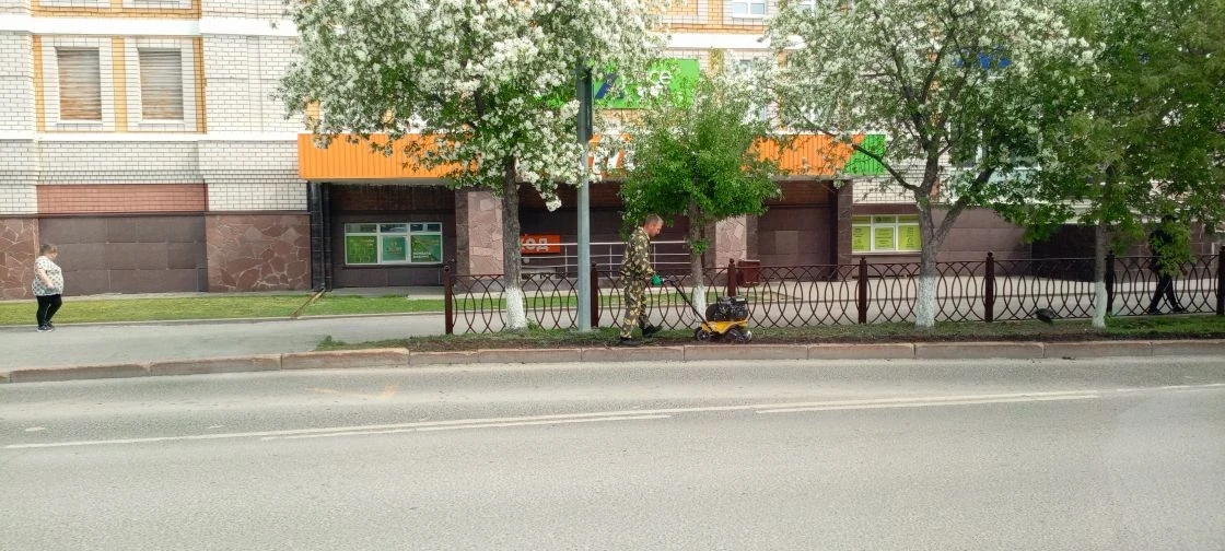 В рамках муниципального контракта, выполняются работы по вспашке и высадки цветов вдоль...