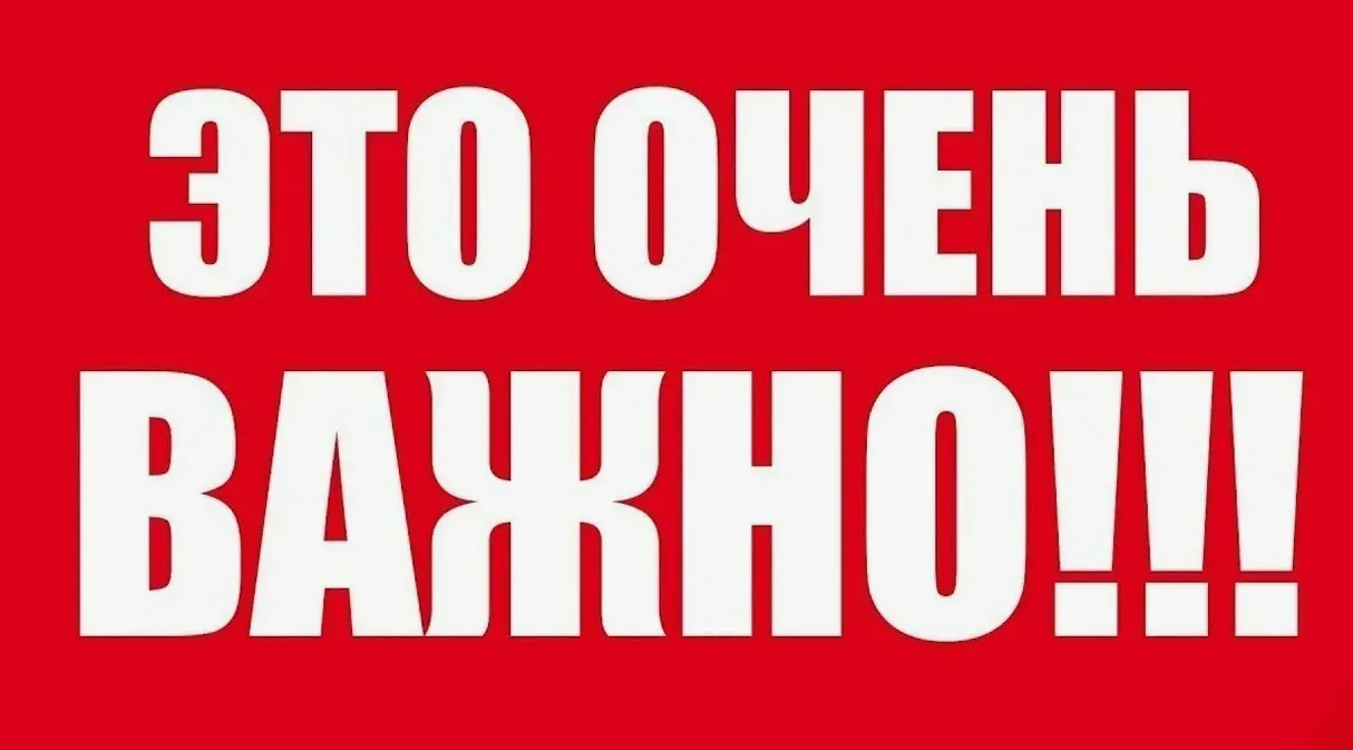 В рамках праздника «Последнего звонка» Видеоприветствия: