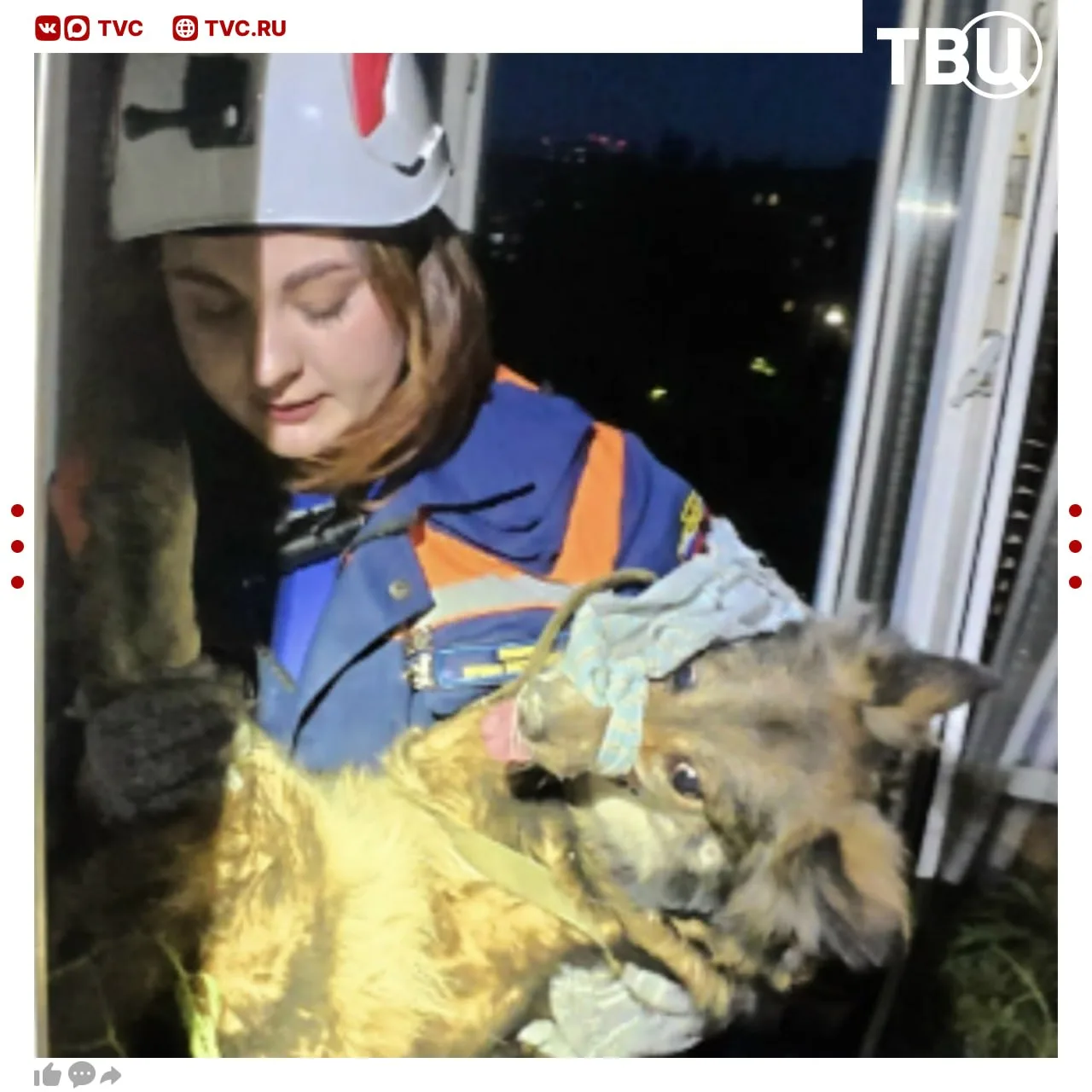 💔 Собака 10 дней выживала в разрушенной БПЛА квартире  Беспилотники ВСУ атаковали жилые дома в Рязан