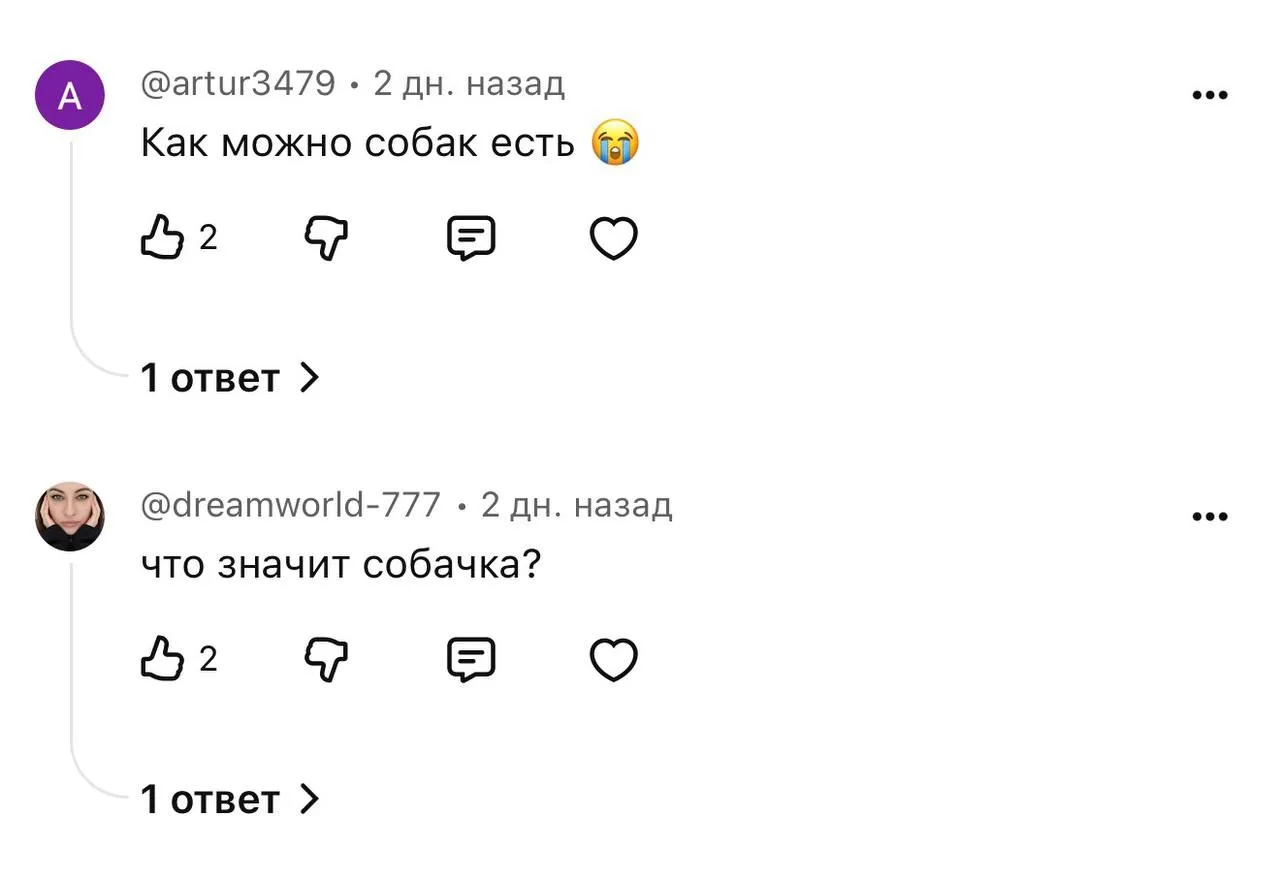 Изображение 4 к публикации «Катя Корея 🇰🇷»