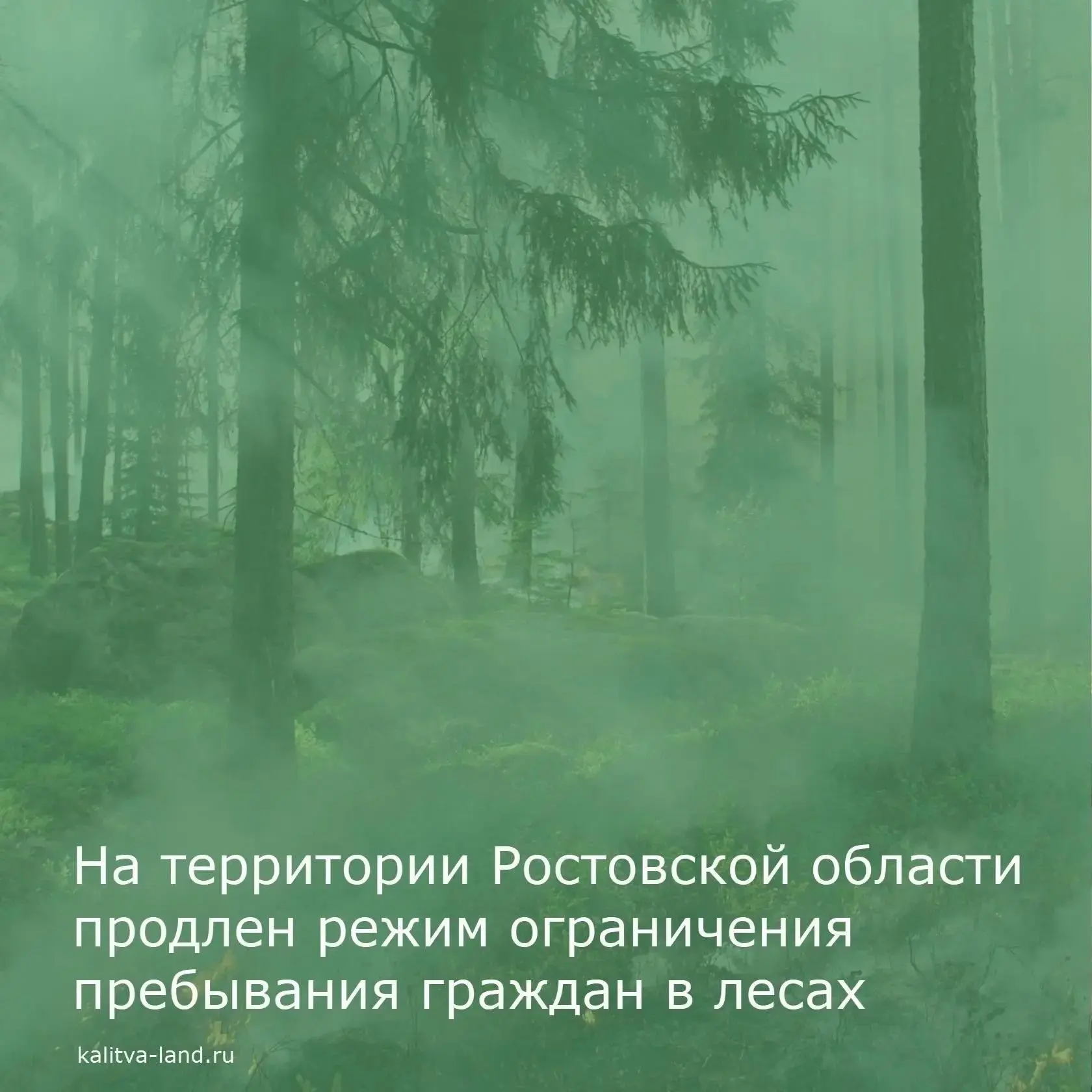 ❗️️ Уважаемые белокалитвинцы!️