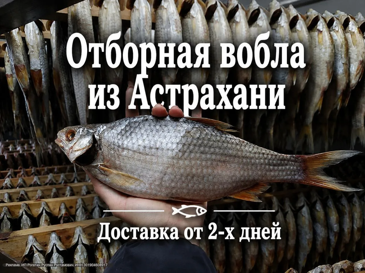 Дарим 1 кг рыбки !

Вобла. Малосольная вяленая

Янтарное мясо и безумно вкусная икра

Оформить заказ