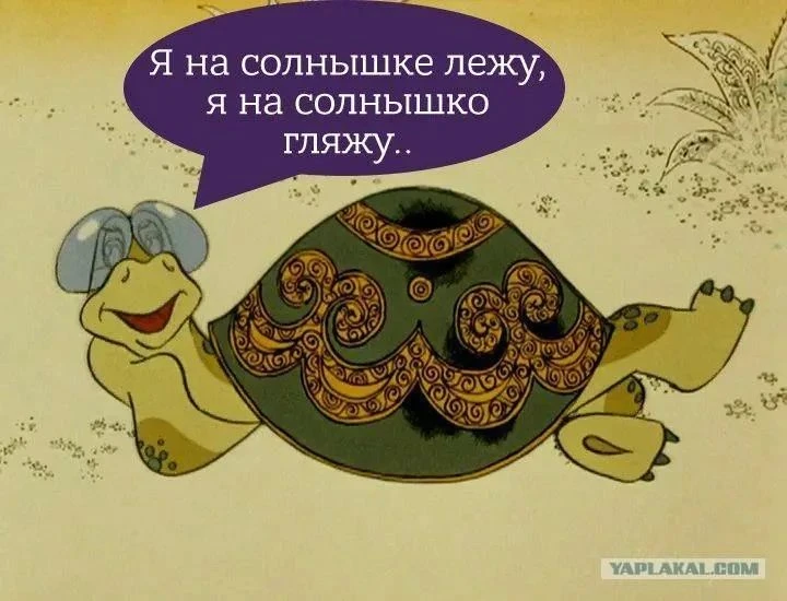 Лепка черепахи из скорлупы грецкого ореха и пластилина — отличное занятие для детей мла...