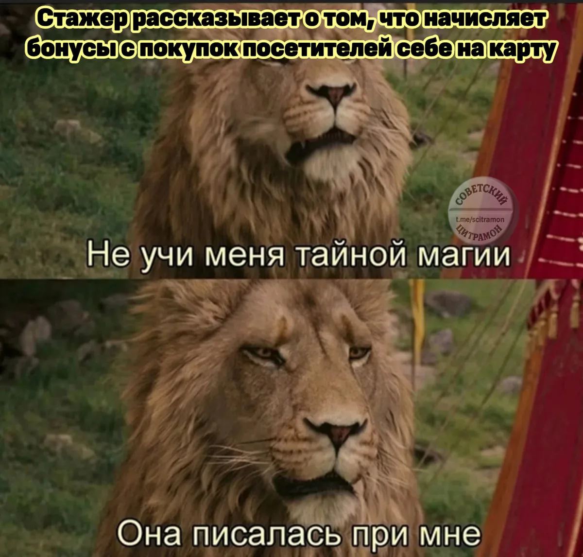 Цитрамон. Подписаться