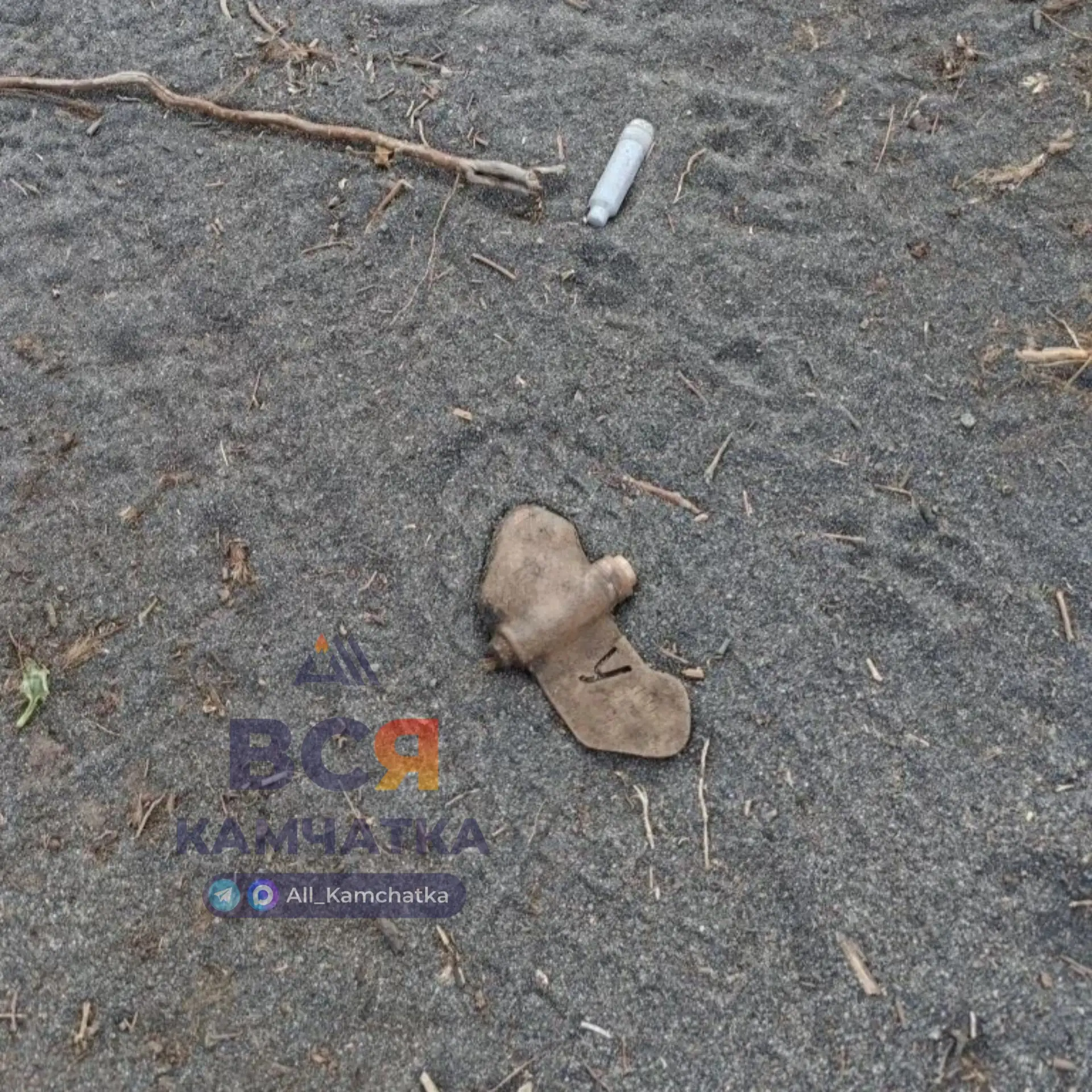 Жители Камчатки обнаружили мину на Халактырском пляже 

Во время прогулки по берегу океана местная с