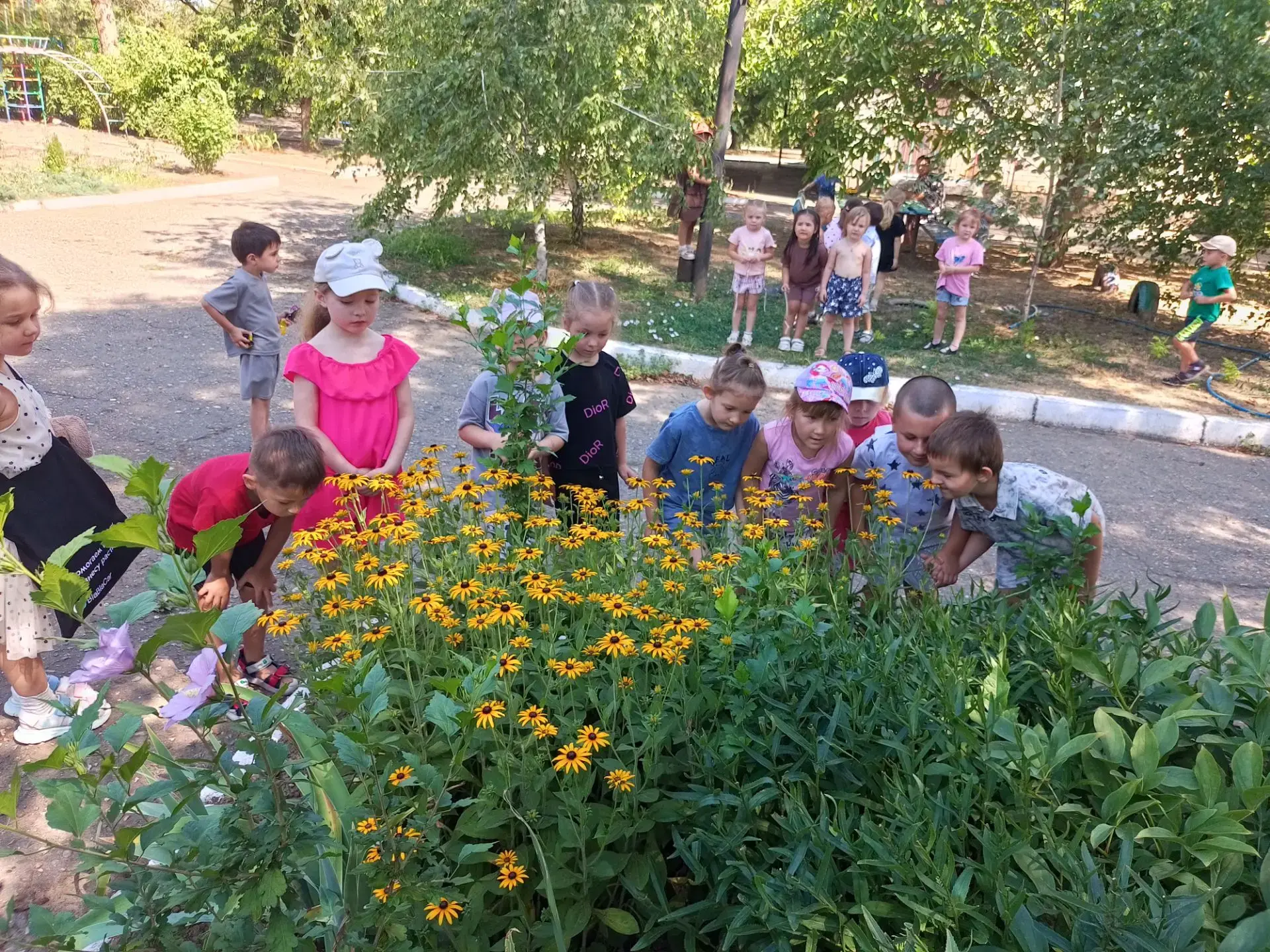 «Цветочное лето»🌺🌹🌷🌸🌷🌻