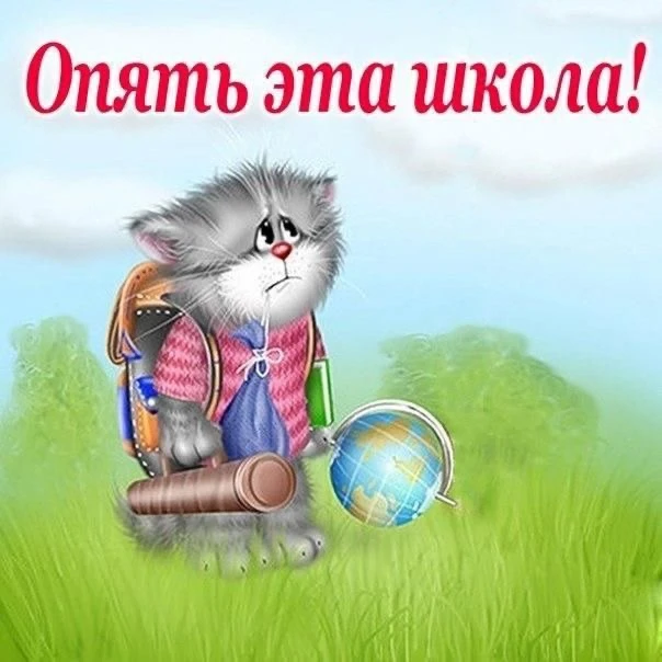 Список качественных каналов в МАКС | Смотреть ❤️