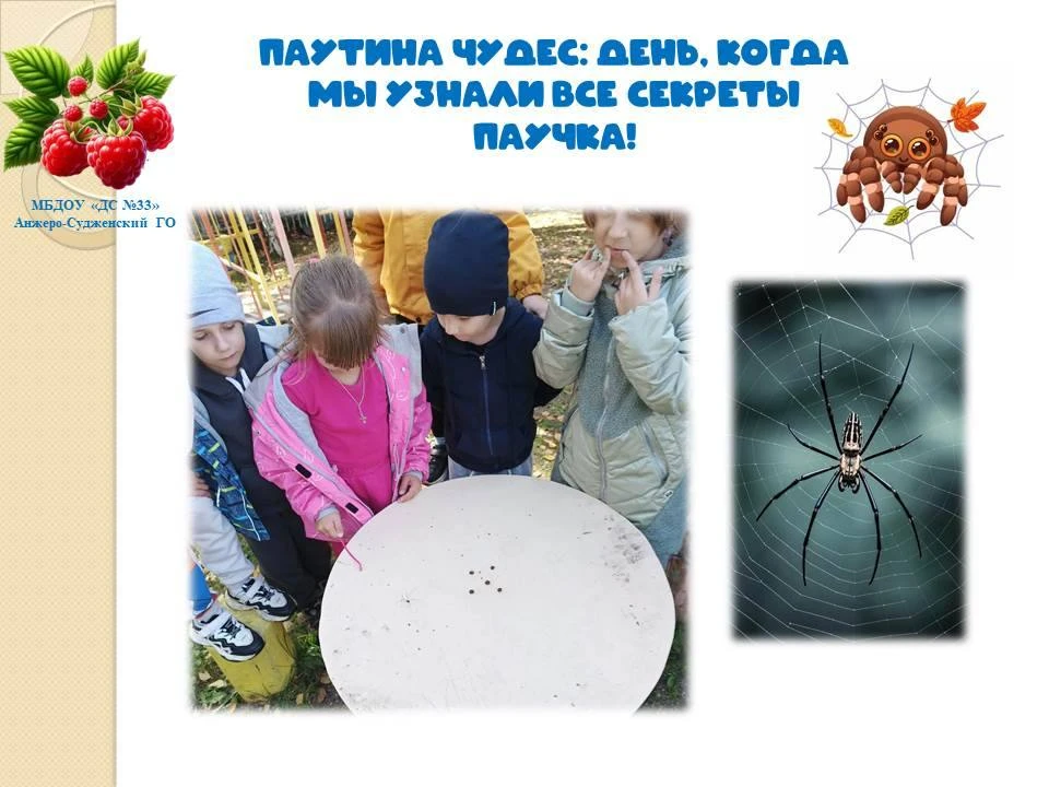 Наблюдаем за пауком: маленькое чудо на нашей прогулке!