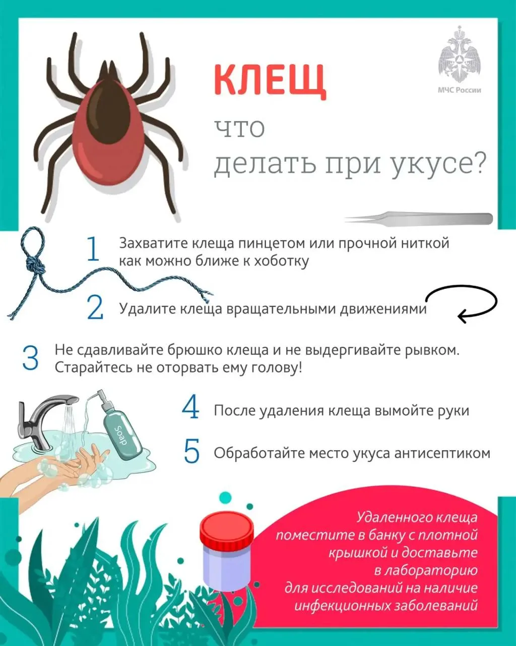 ❗️Спасатели Липецка рассказали, как защититься от укусов клещей.