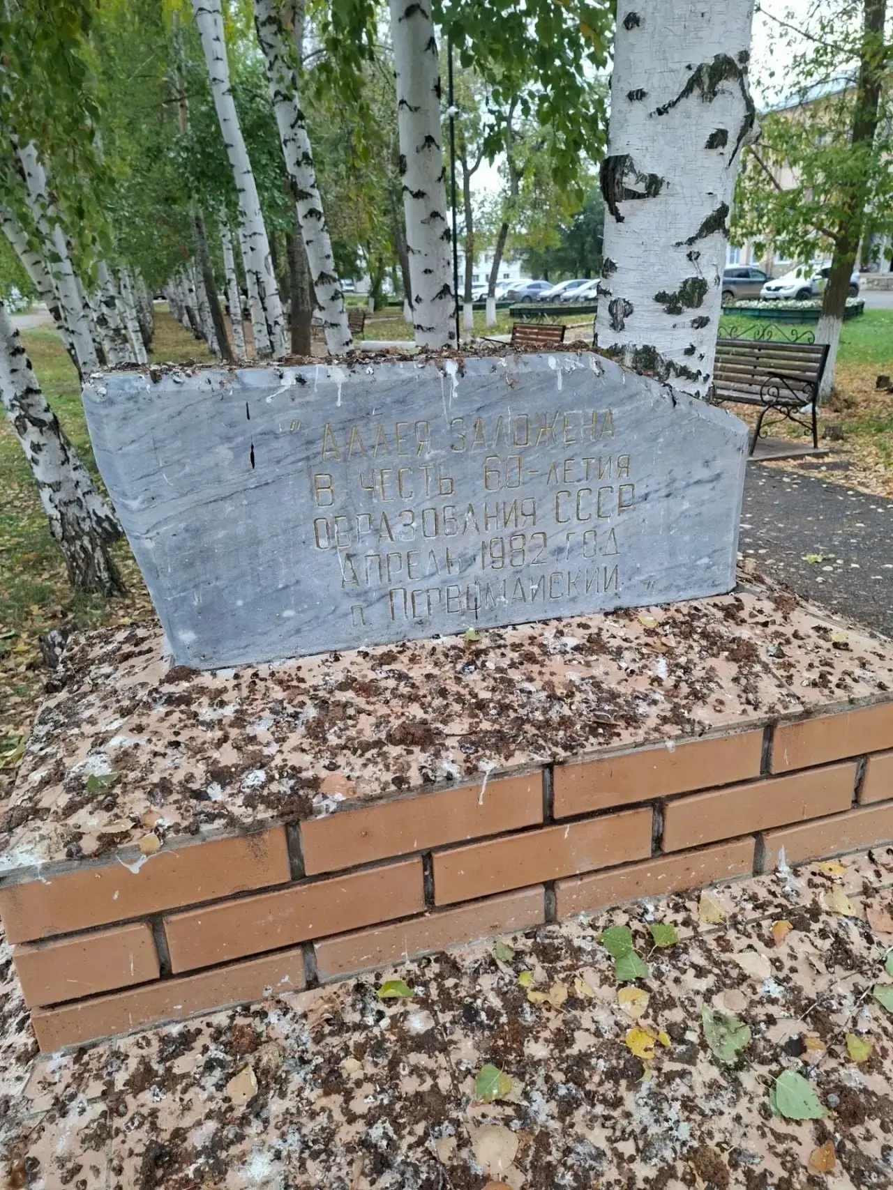 А кто ухаживает за парком???