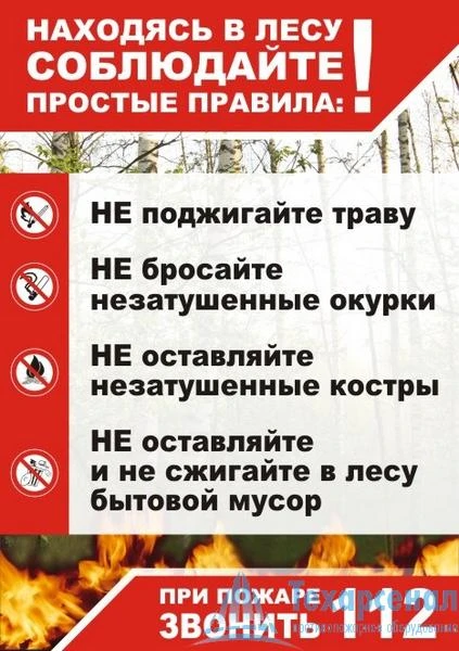 Как действовать при лесном пожаре