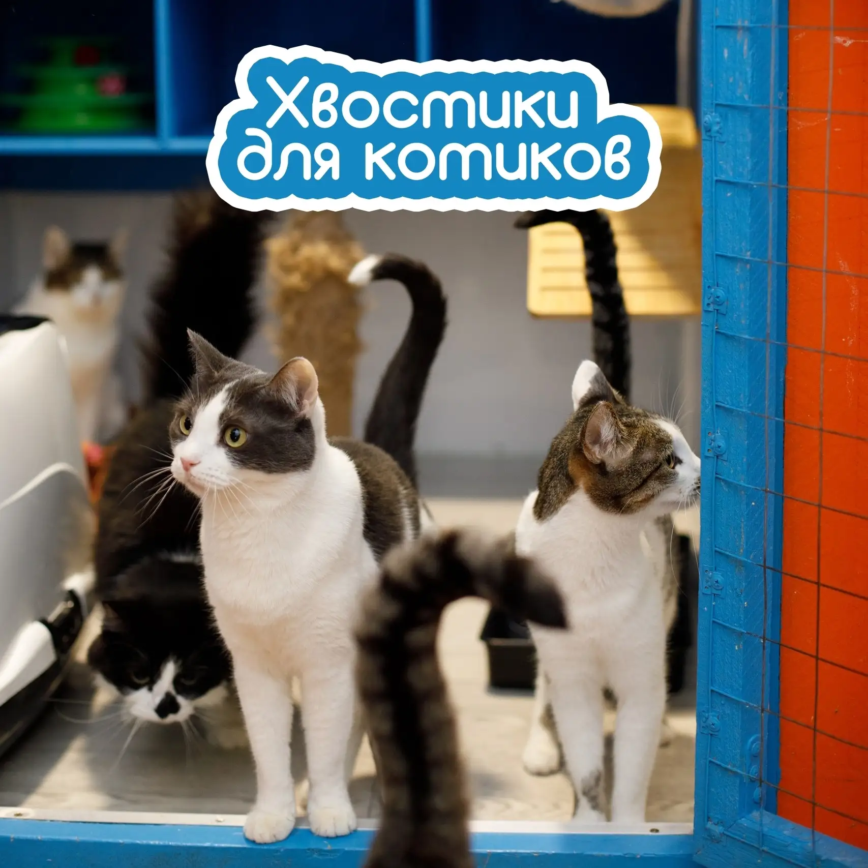 Волгоград и другие города!