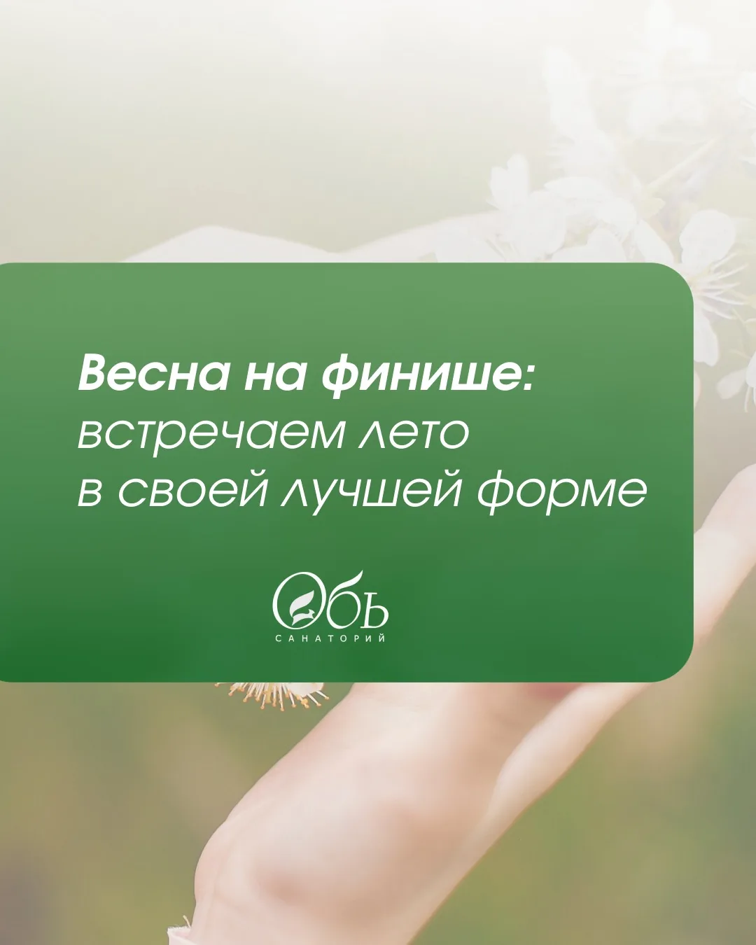 Май — удивительный месяц. Природа уже в полной силе: деревья зеленеют, цветёт черёмуха ...