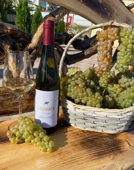 🍇 ОТКРОЙТЕ ДЛЯ СЕБЯ МИР НАСТОЯЩЕГО ВИНОДЕЛИЯ

🍷 Экскурсия на винодельню «Зимовец» с дегустацией ви