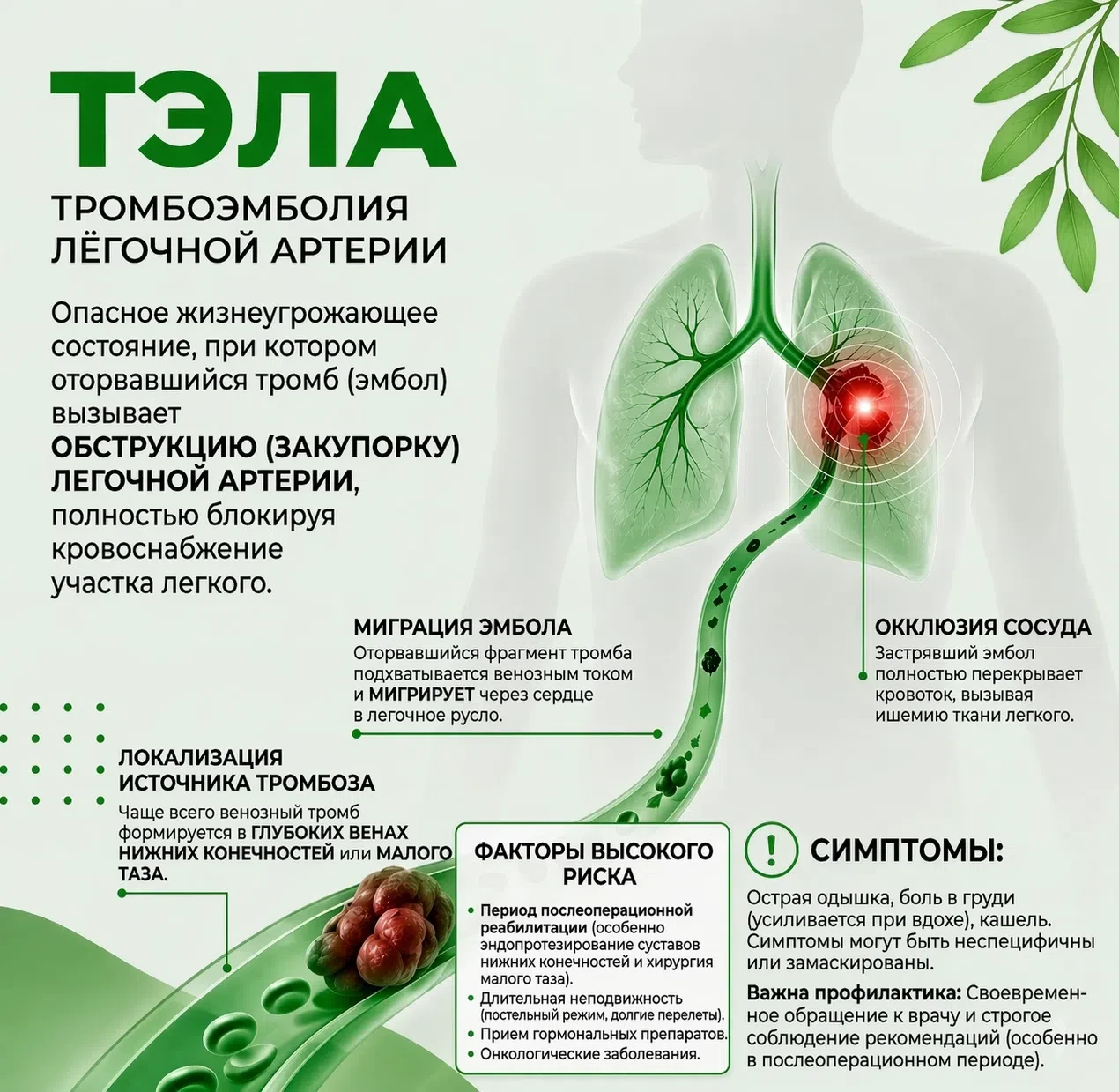 🫁 «Немой убийца»: почему тромб из ноги может остановить сердце и как его найти заранее?