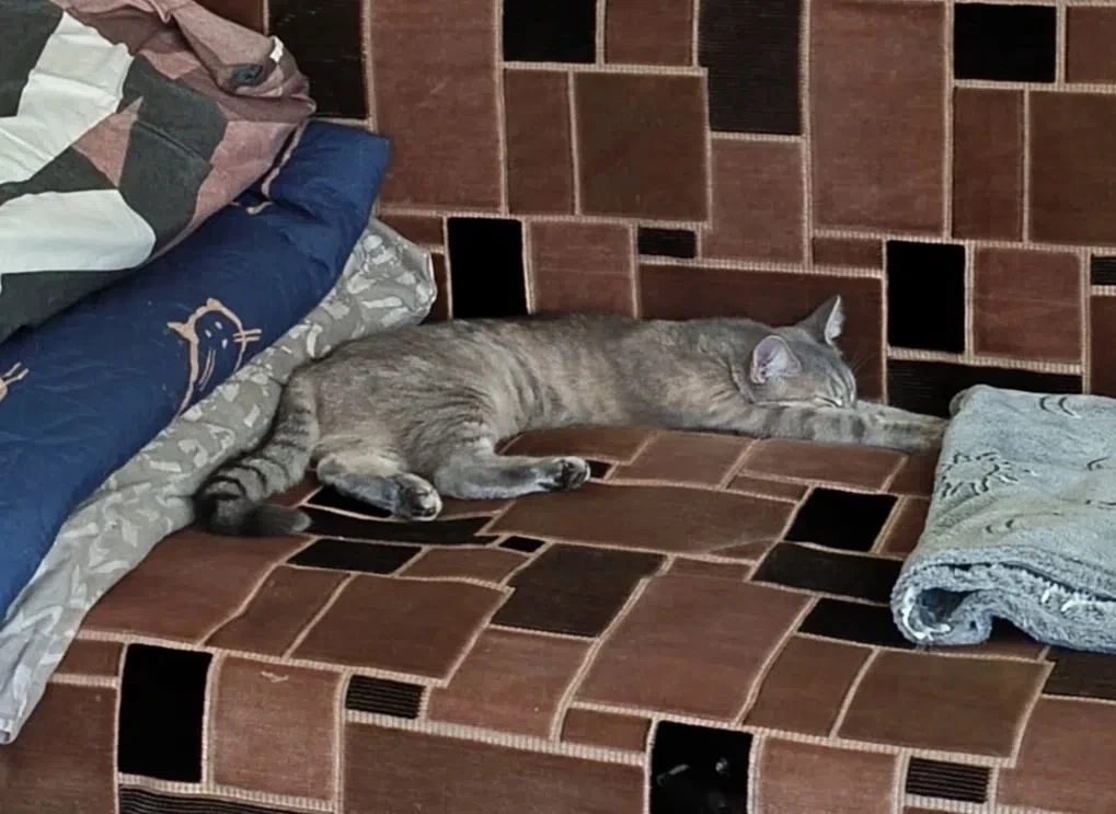 Фиби❤️