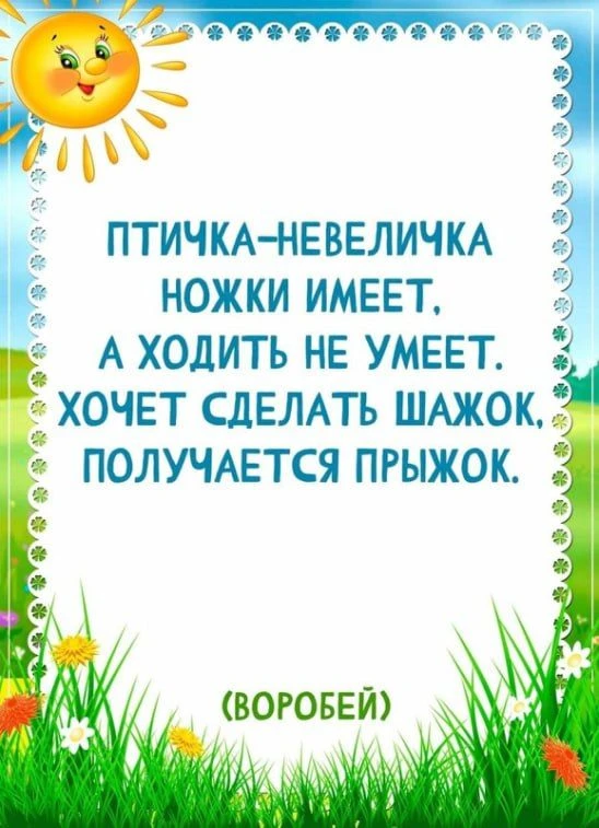 Мы подготовили восемь карточек с загадками   В них мы спрятали животных и птиц, которых можно встрет