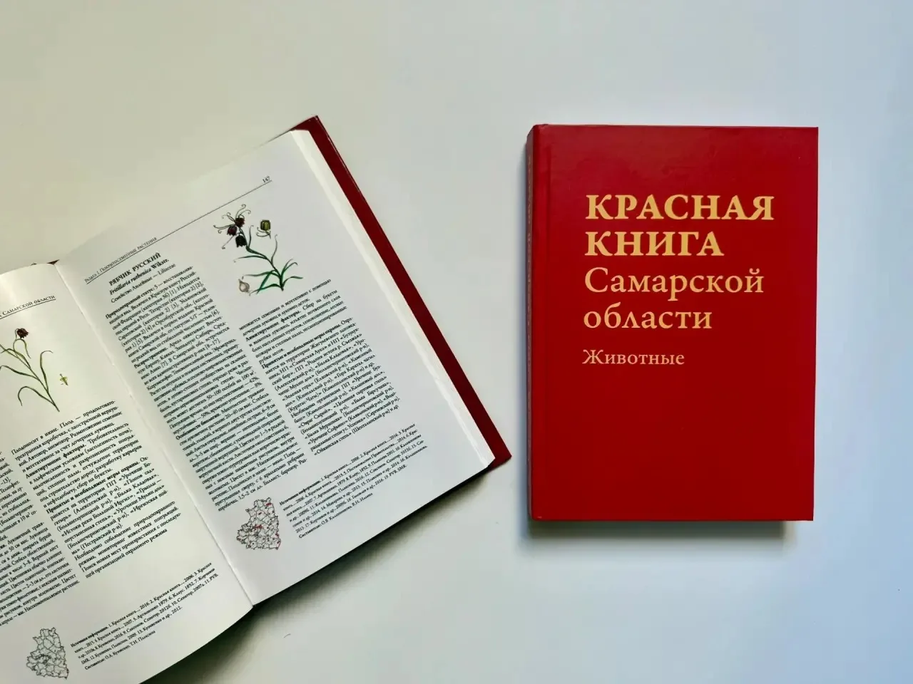 📕 В Самарской области обновили структуру ведения Красной книги