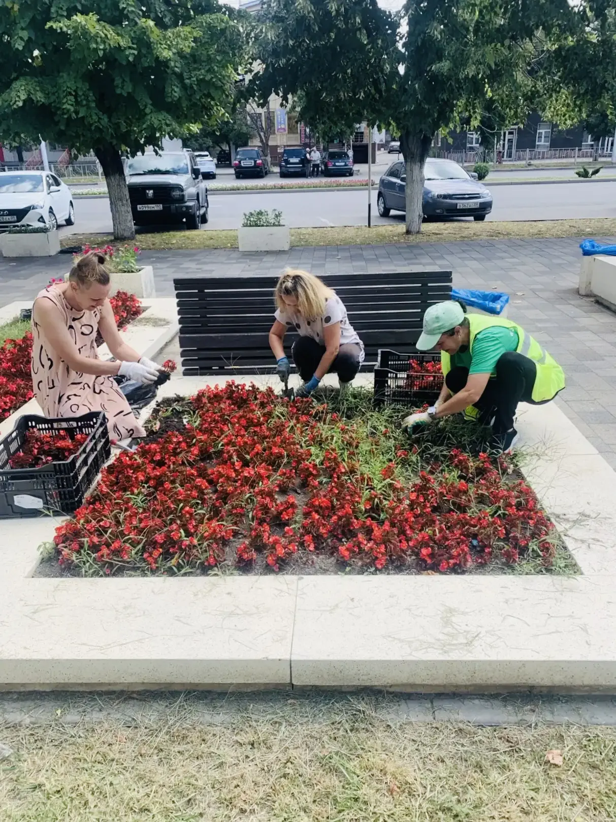 Также отделом озеленения сегодня проводились посадочные работы в сквере около магазина ...
