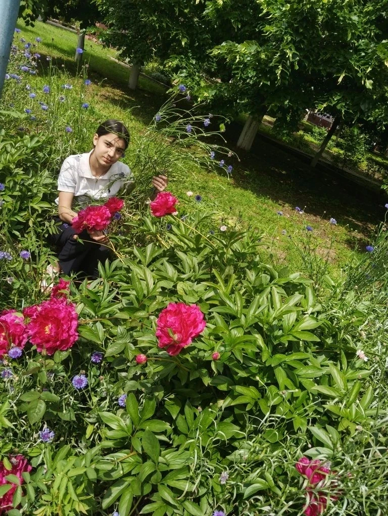 🎉Красивые летние каникулы.
🌺Лето– это время, когда природа дарит нам свою неповторимую красоту. 
О